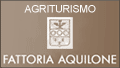 AGRITURISMO FATTORIA AQUILONE - SAN VENANZO - TERNI - TR