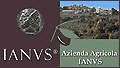 AZIENDA AGRICOLA IANVS - SEGGIANO - PERUGIA - PG