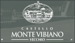 CASTELLO DI MONTEVIBIANO VECCHIO - MARSCIANO (PG)