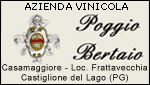 AZIENDA VINICOLA POGGIO BERTAIO + CASAMAGGIORE - LOC. FRATAVECCHIA - CASTIGLIONE DEL LAGO - PG